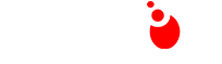 business service provider